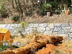 -云南野生动物园