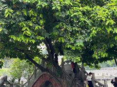 -东莞市可园博物馆