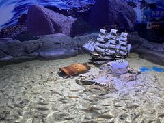 -多彩贵州城极地海洋世界