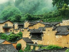 -杨家堂村