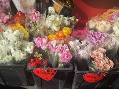 -溪岸路花鸟市场