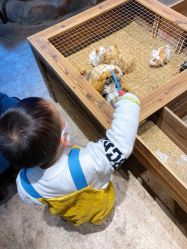 -酷嗒动物文化乐园(cutezoo西溪乐天城店)