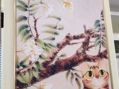 -美迦爱-动物医院·骨科·牙科·夜诊(朝阳路诊疗中心)