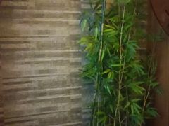 -鹤祥宫·影院足道·SPA连锁(苹果园店)