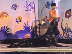 -太平洋海底世界