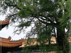 -法雨寺餐厅
