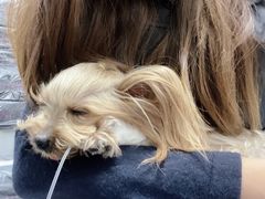 -达爱动物医院·犬猫分区·CT·复杂眼科(远洋山水分院)