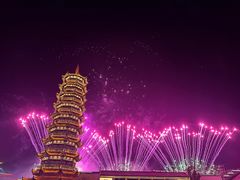 -芜湖新华联大白鲸海洋公园