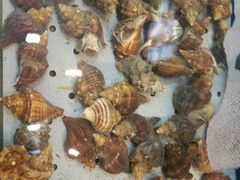-喜悦小串海鲜烧烤大排档(高新万达店)
