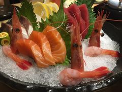 -鲤·鮨KOISUSHI