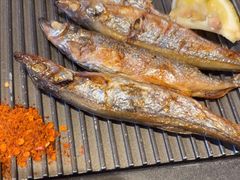 -Mr.Fish鱼鲜生海鲜放题(高德置地冬广场店)