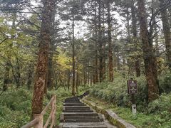 -峨眉山风景名胜区