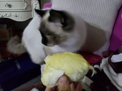 -盒马鲜生(顺义店)