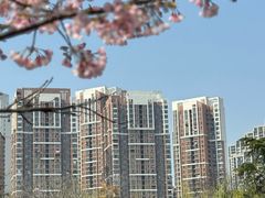 -堤角公园