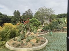 -东莞植物园