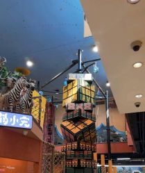 -卡通尼·Safari非洲探索乐园·生日会(金桥国际商业广场店)