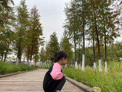 -映月湖公园