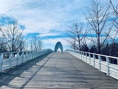 -大兴滨河森林公园