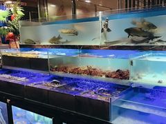 -喜庭海鲜自助(来福士店)