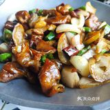 往日时光