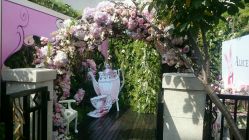 android_upload_pic-Alice Nine婚礼艺术空间(总店)