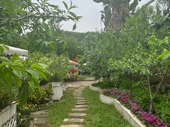-桃源山庄·水蜜桃采摘·柴火鸡·烧烤团建(龙泉山店)