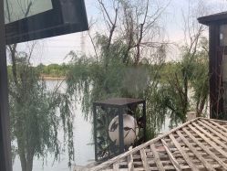 -卓玥国际月子会所(罗山路店)