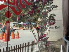 -黄山老妈·土菜(碧桂园店)