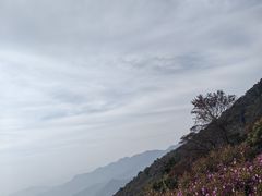 -广州市石门国家森林公园