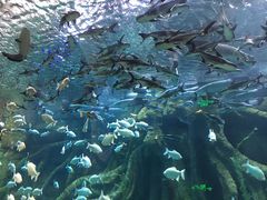 -波塞冬旅游度假区