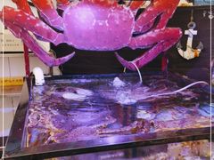 -喜碧海鲜·二十年本土海鲜老字号(上排店)