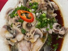 -先鲜鲫鱼粥