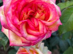 -人民公园(罗湖区)