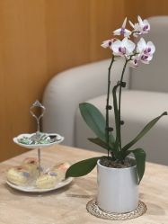 店内环境-Yestar重庆艺星医疗美容医院