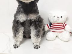 -陆家嘴世纪金融广场