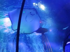 -沈阳海洋探索中心