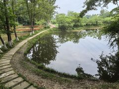 -桤木河湿地公园