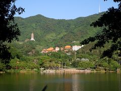 -深圳仙湖植物园