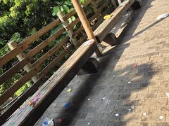 -青青世界