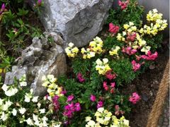 iphone_upload_pic-汇龙潭