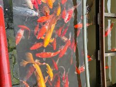 -陶祖圣境风景区