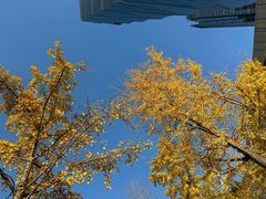 -徐家鸭子·非遗烤鸭(老门东店)