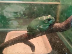 -上海大自然野生昆虫馆(东方明珠·爬宠昆虫探索中心)