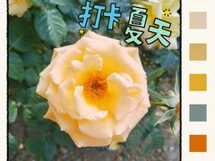 -睦南公园