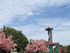 -南湖梦幻岛