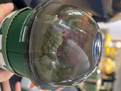 -茉酸奶(高科山姆店)