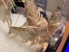 -王家渡火锅店(亦庄店)