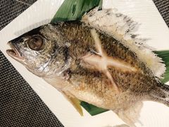 -泉寿司(万科公园店)