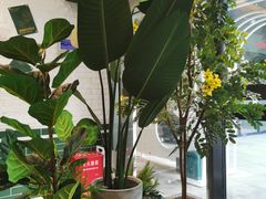 -做披萨的奇葩(中海央墅店)