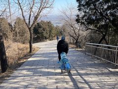 -阳台山自然风景区